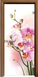 Стъклена Врата Standart Print G 13-2 Златен Дъб