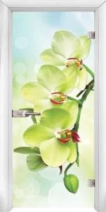 Стъклена Врата Standart Print G 13-3 Green Бял