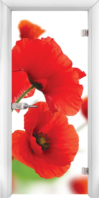 Стъклена Врата Standart Print G 13-8 Бял